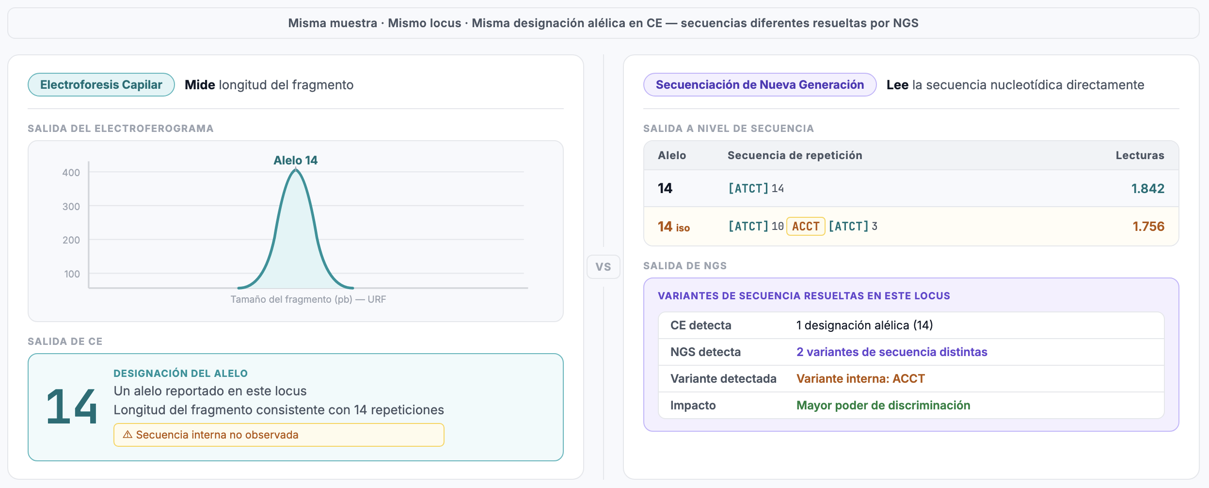 Mismo alelo, distinta secuencia: resolución de isoalelos mediante CE vs NGS en un locus STR