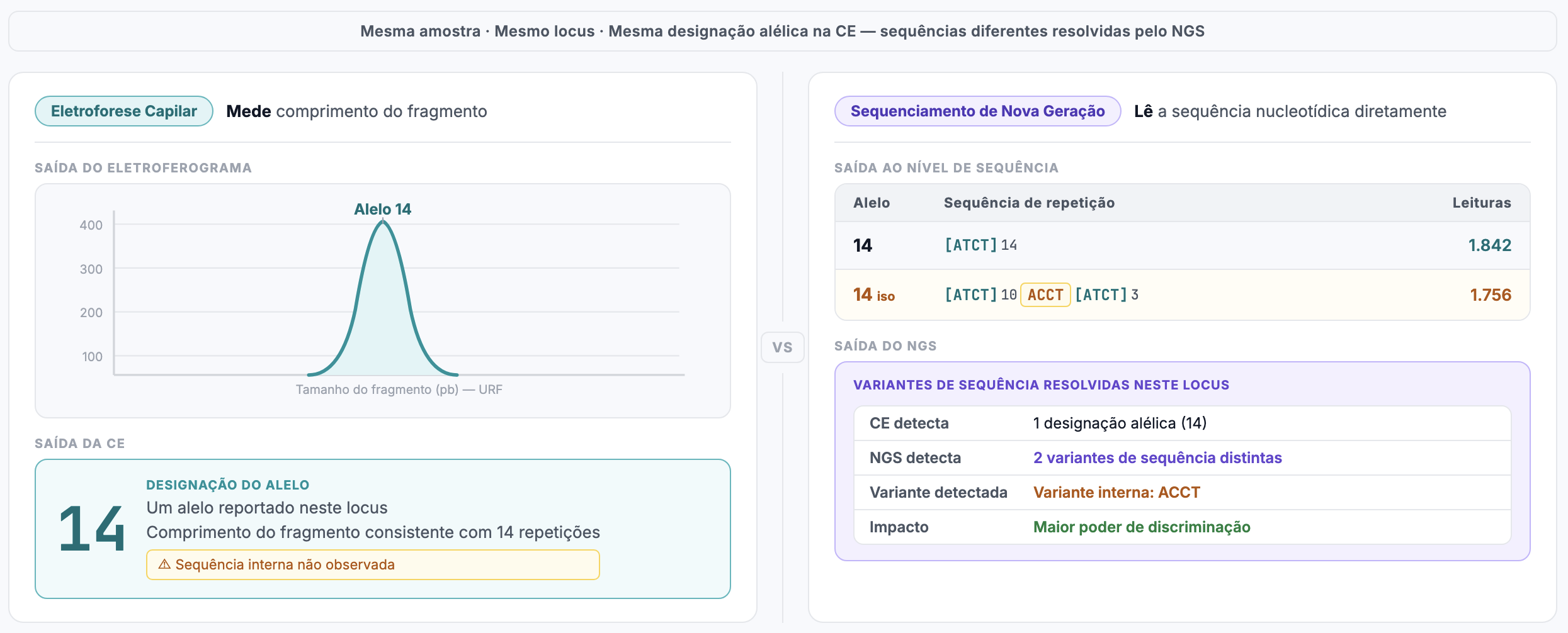 Mesmo alelo, sequência diferente: resolução de isoalelos por CE vs NGS em um locus STR