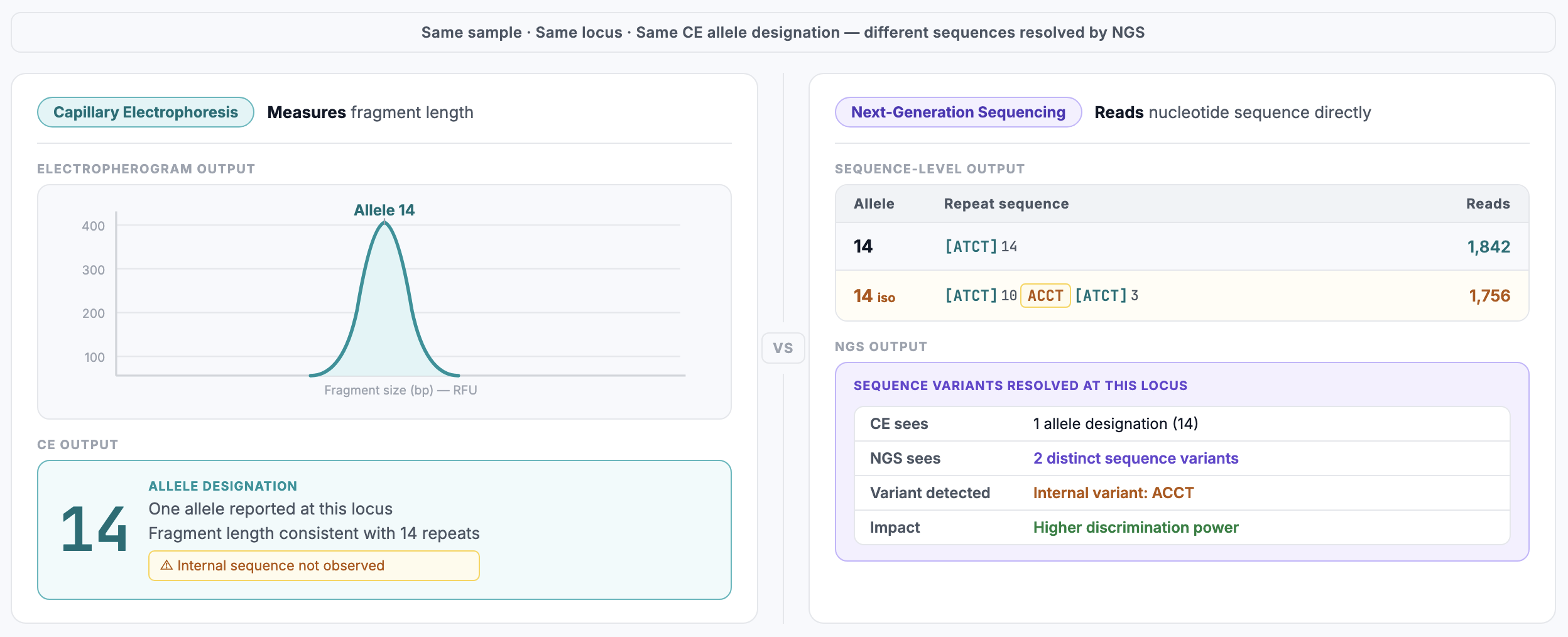 Same allele, different sequence: CE vs NGS resolution of isoalleles at a single STR locus