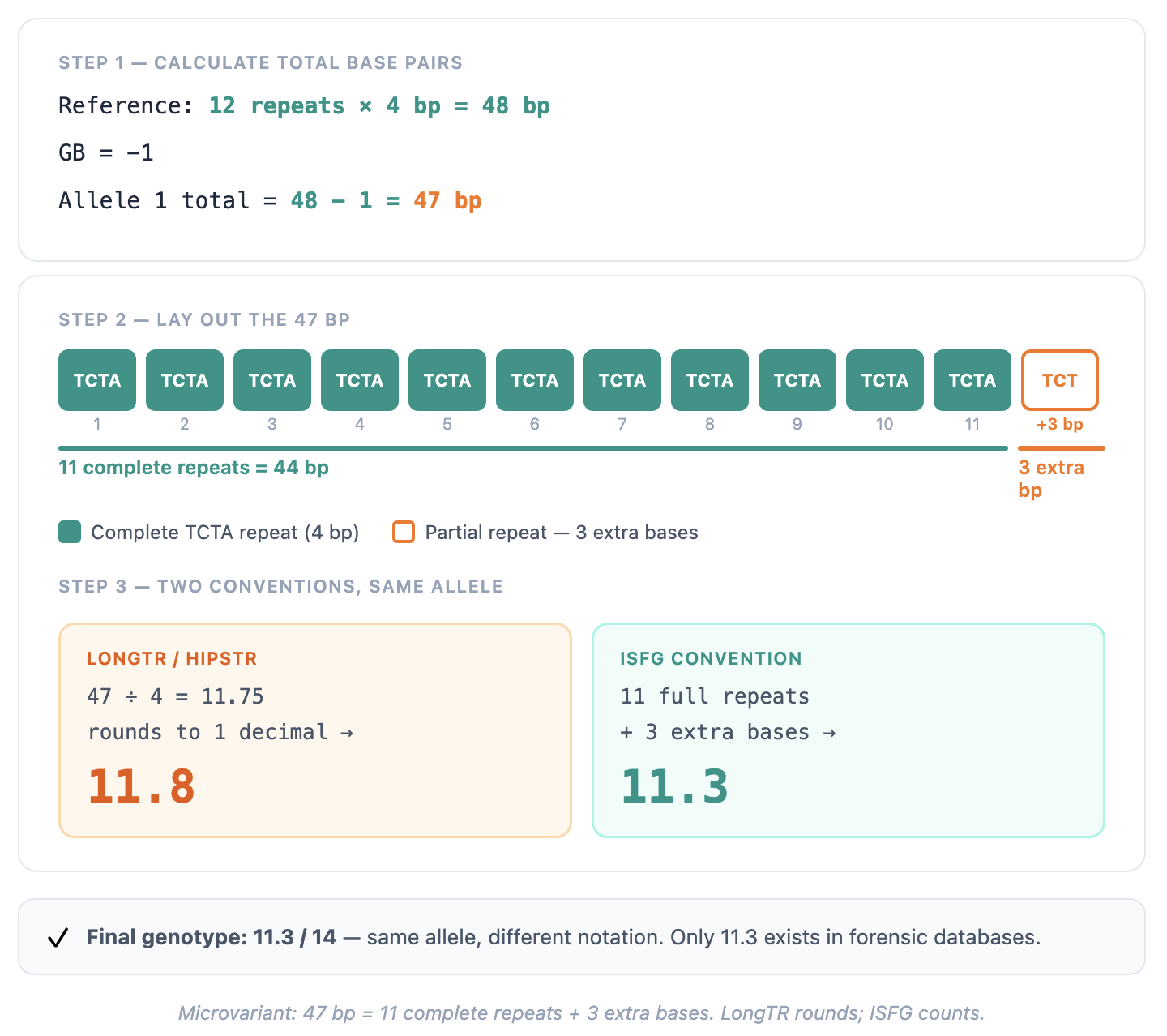 From 47 bp to allele 11.3. How LongTR and ISFG count differently