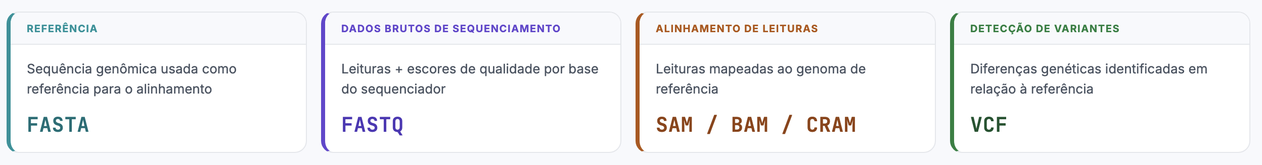 Formato de arquivos