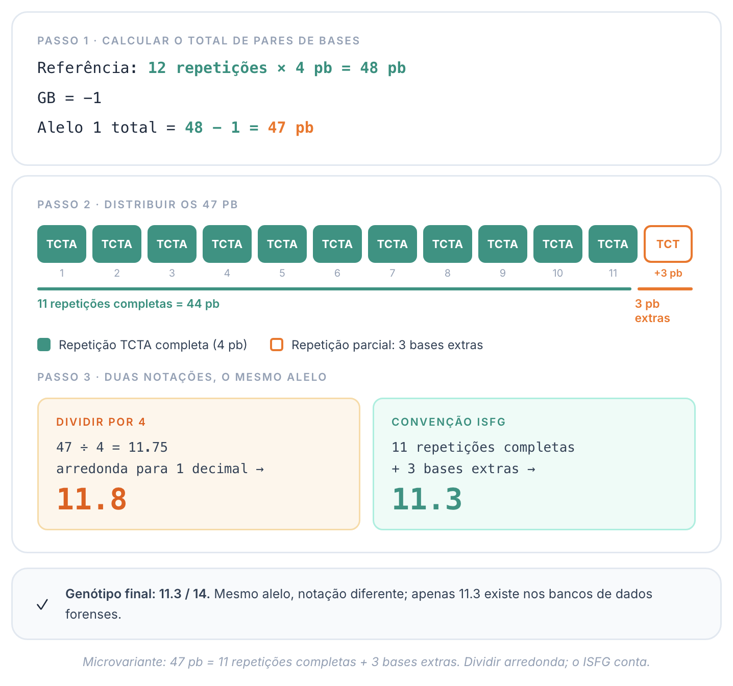 De 47 pb ao alelo 11.3: dividir pelo comprimento do motivo versus a contagem do ISFG