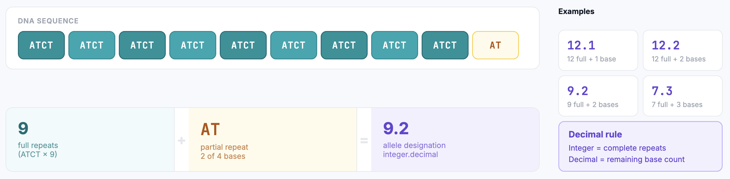 Microvariant: allele with complete repeats plus extra bases from a partial repeat.