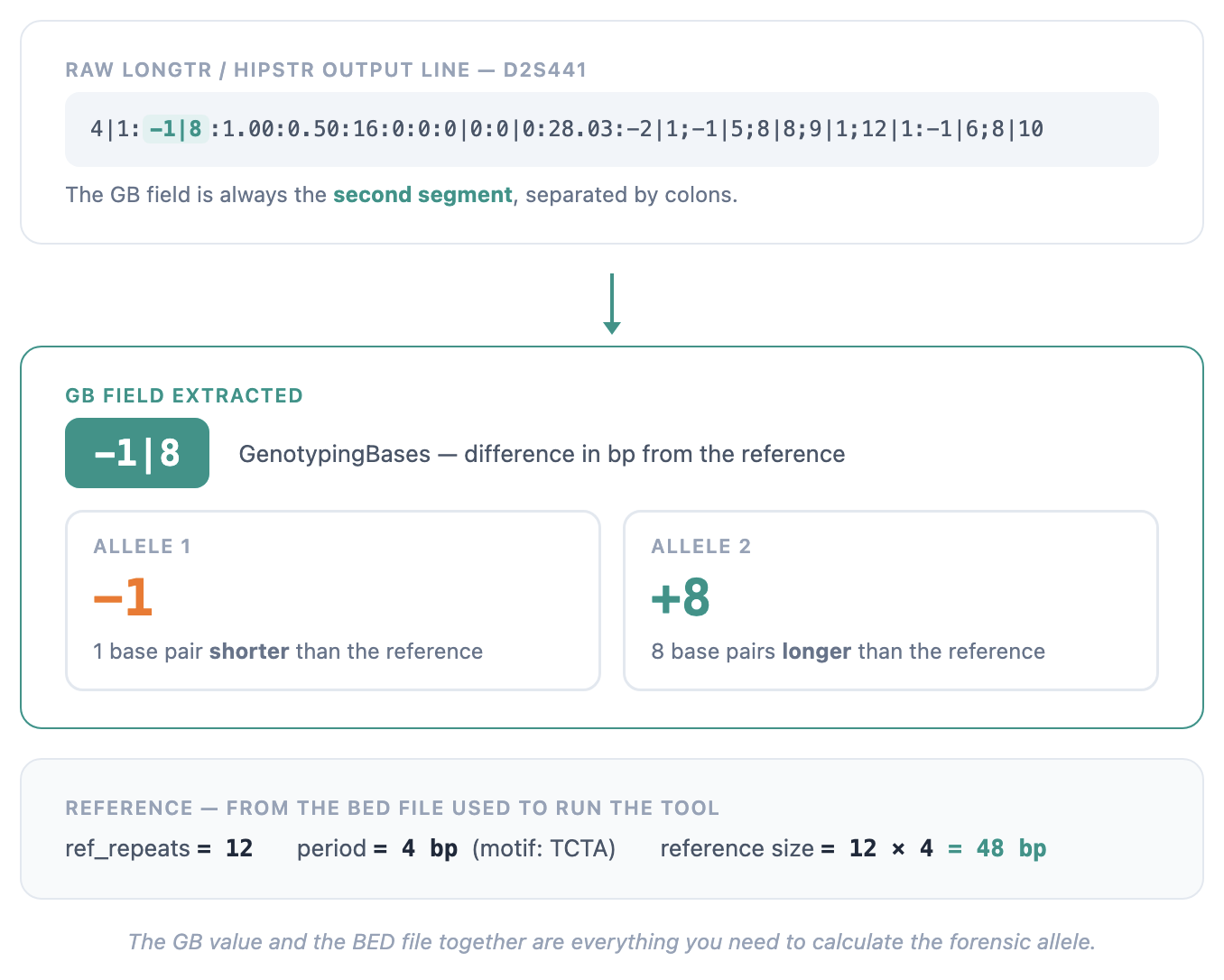 The GB field in a LongTR / HipSTR VCF output line
