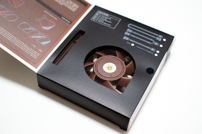 temp/noctua-20