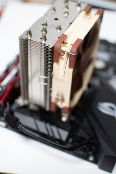 temp/noctua-03-399x600