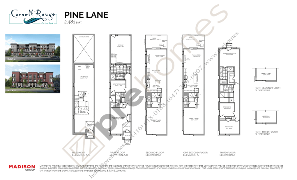 Pine Lane