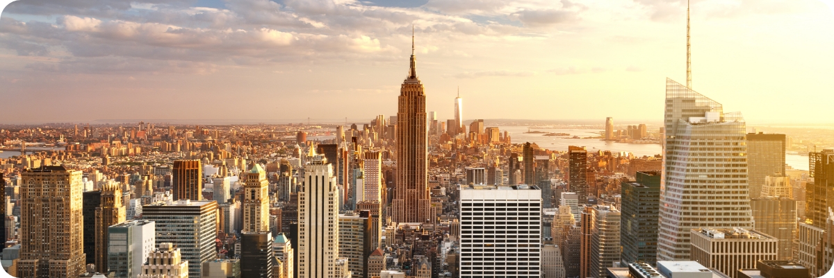 New York banner