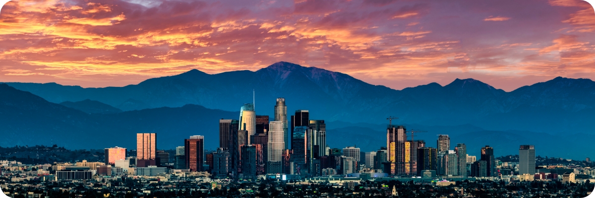 Los Angeles banner