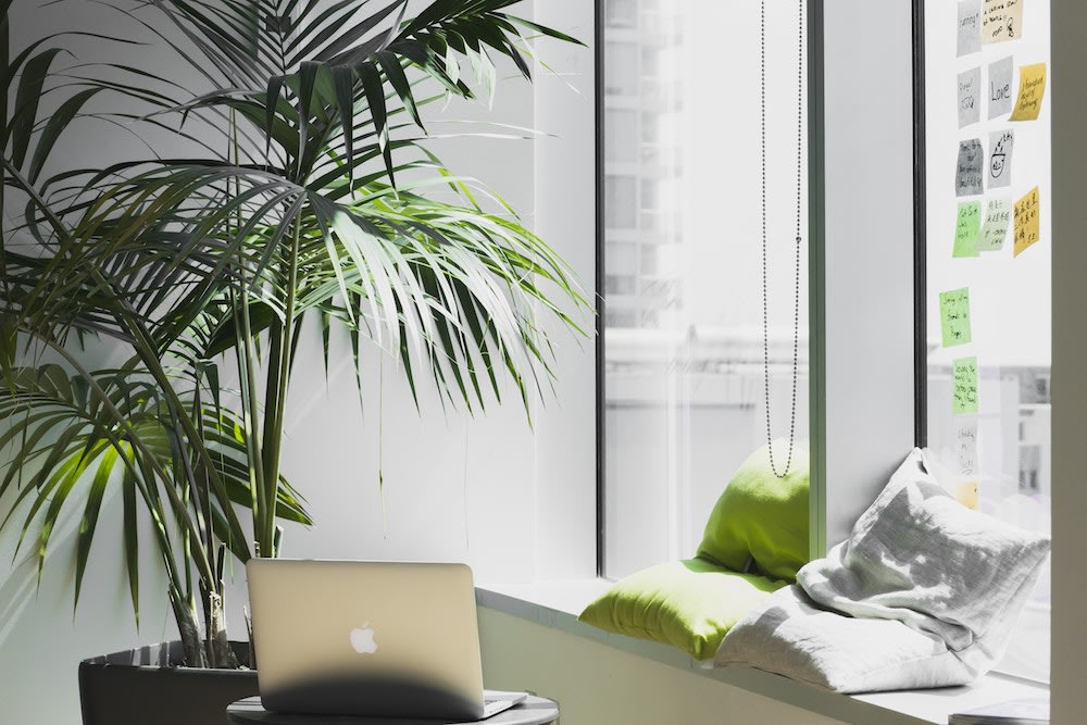 Blog – the-impact-of-green-office-design - 106045d2593b38cb1381f.jpg