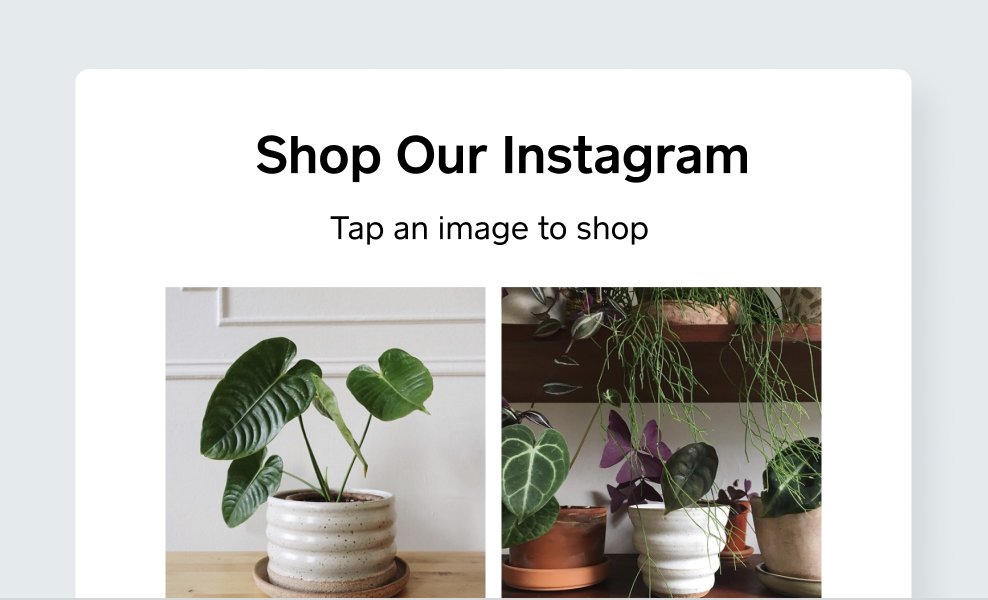 PD01588 - instagram shop plants