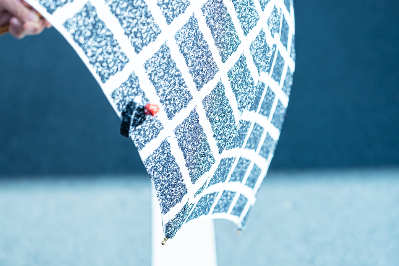 jp blog iida DSF2312