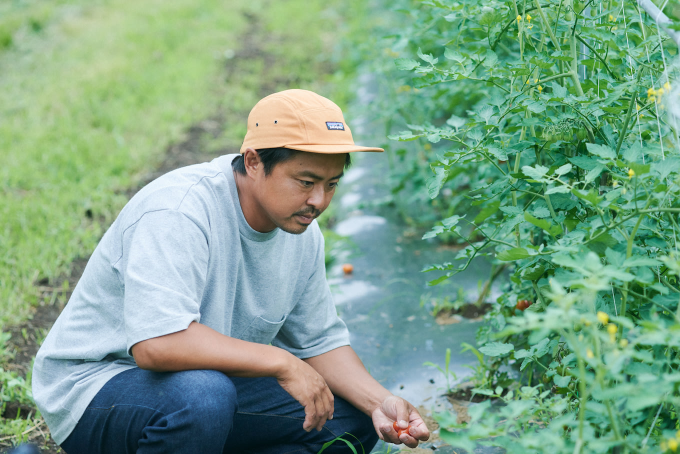 jp-blog-greenbasketjapan-02