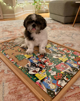 A dog sits on a partially completed Bugs Bunny holiday puzzle on a corkboard