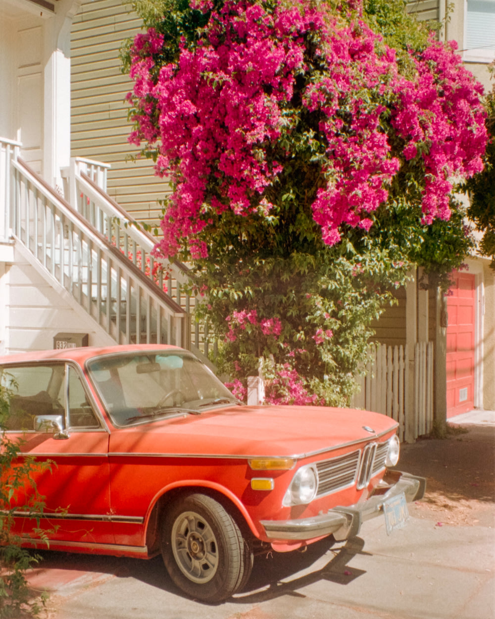 a vintage car parked on a driveway with bougainvillea growing in the background