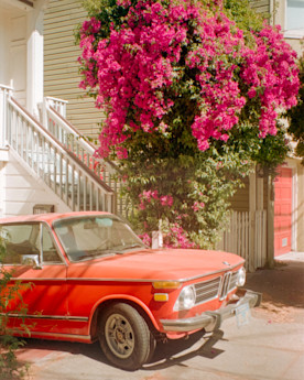 a vintage car parked on a driveway with bougainvillea growing in the background