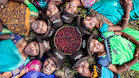 Araku : une fréquentation du coffee shop doublée depuis l’utilisation des solutions Square