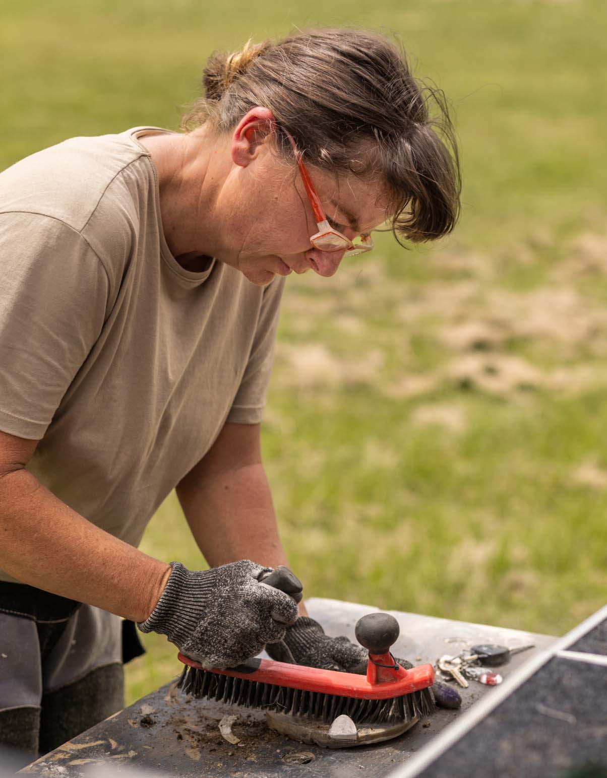 loans-stories-hphc horses-best-interests