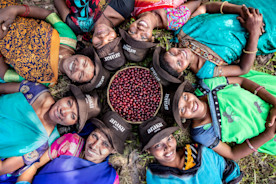 Araku : une fréquentation du coffee shop doublée depuis l’utilisation des solutions Square