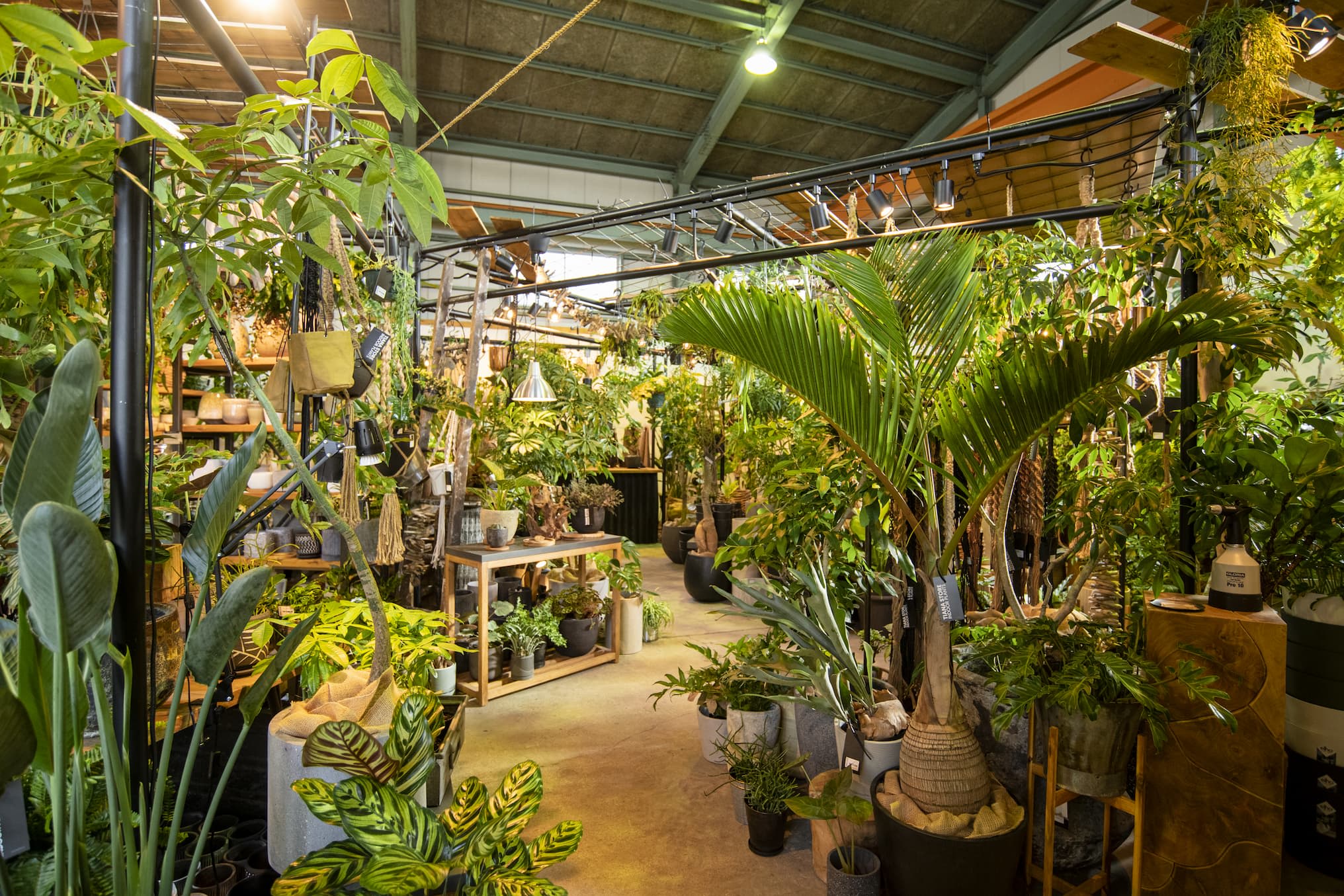 jp-blog-tianastore-new01