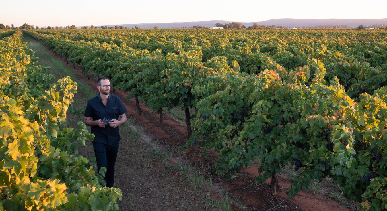 PD04441 - south wales digital article