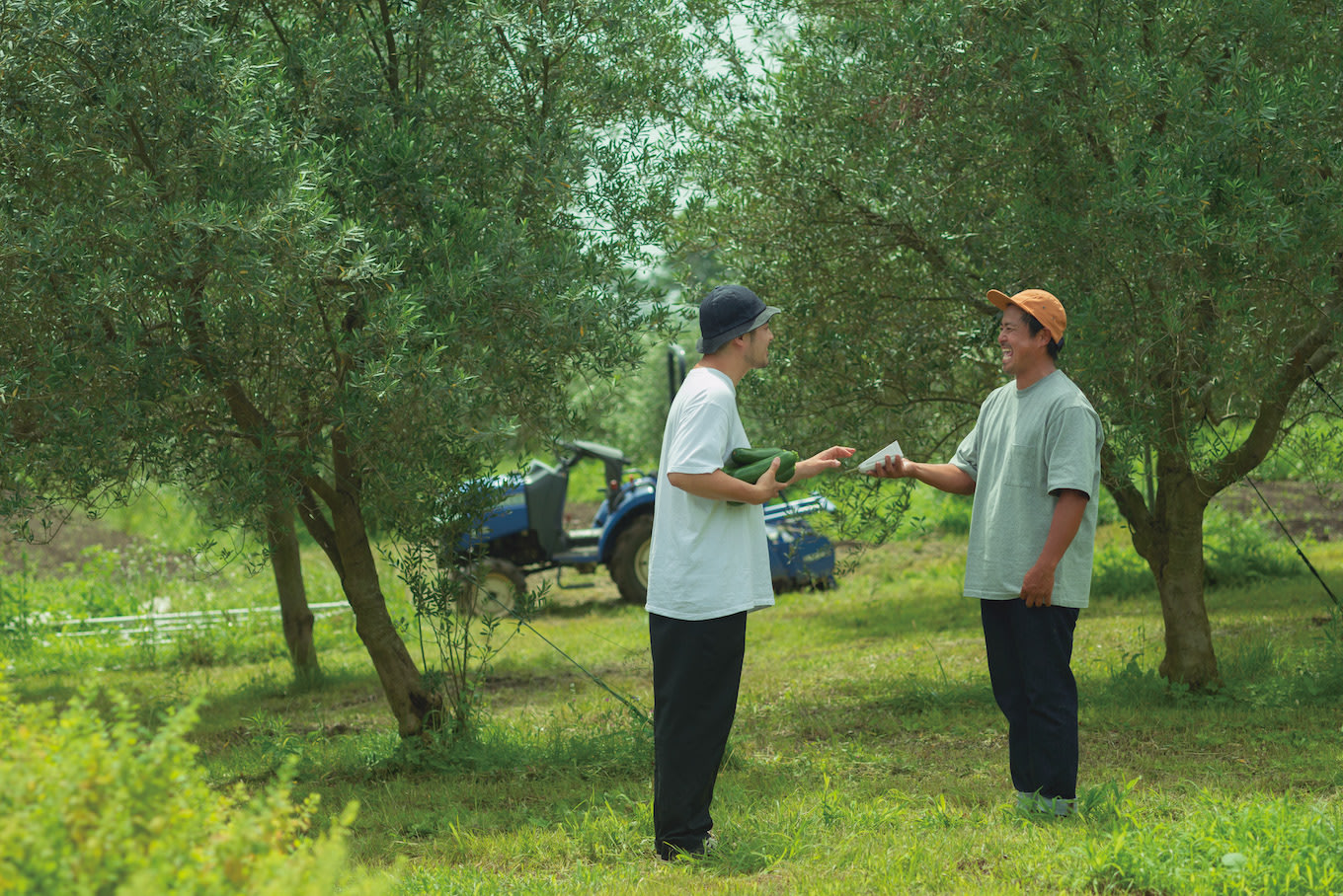 jp-blog-greenbasketjapan-05