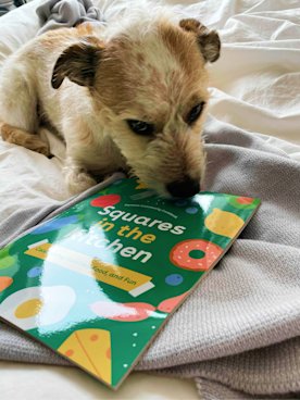 A small dog biting the edge of the cookbook cover laying on a knit blanket on a bed