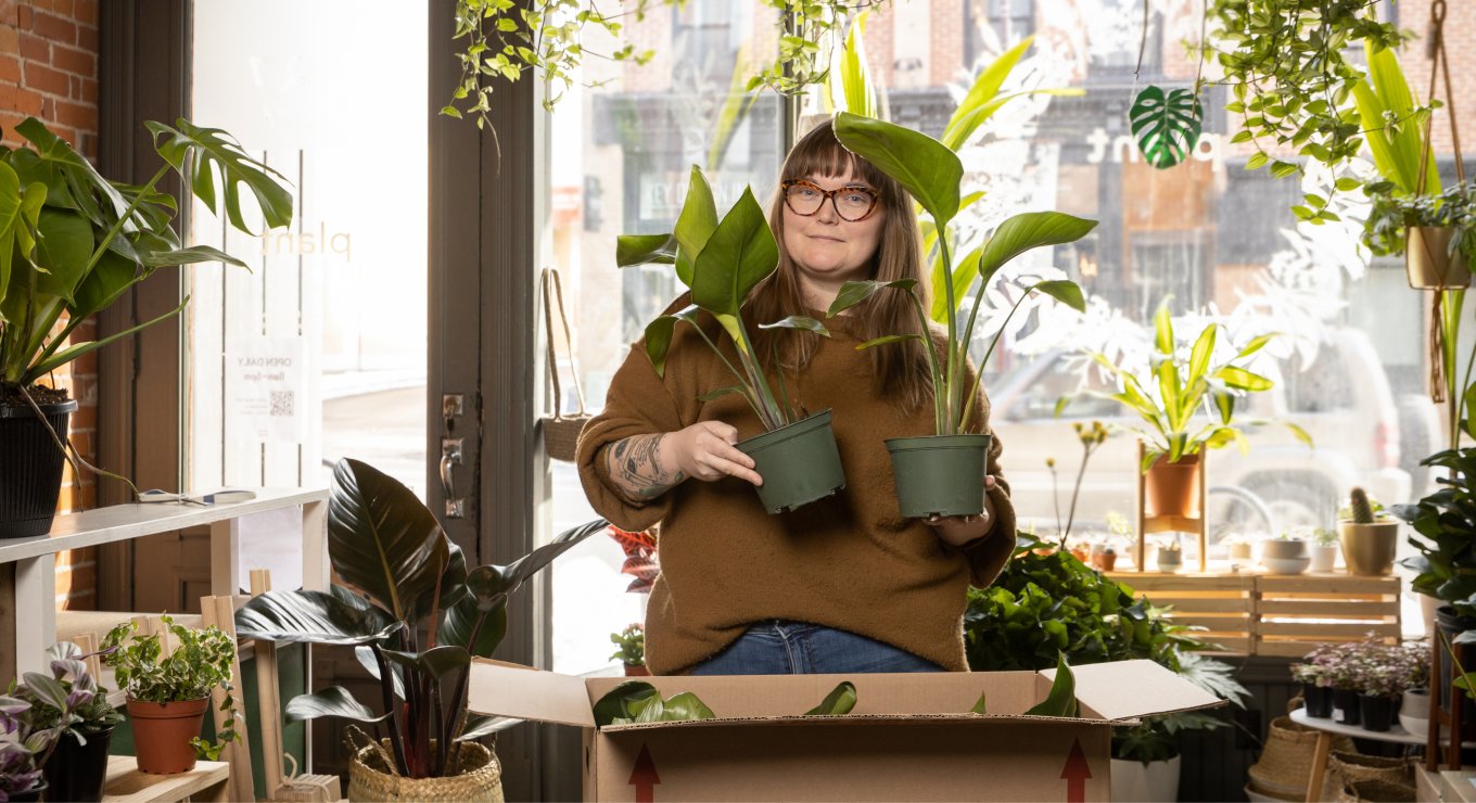 PD04412 - press loans plants