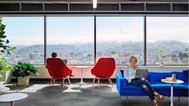 photo of people working with windows in the background