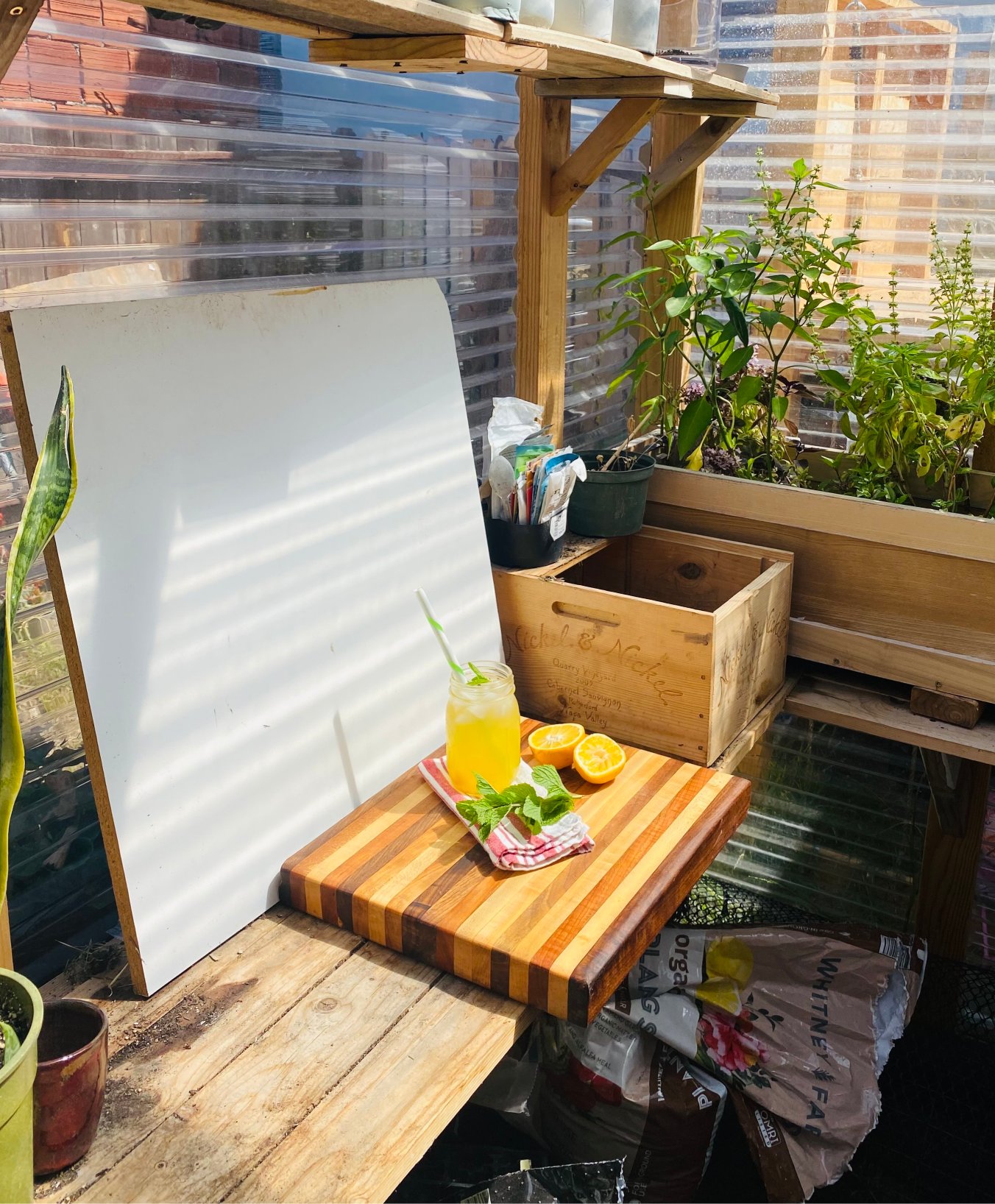 A lemonade on a butcher block posed in front of a white backdrop in a light-filled shed
