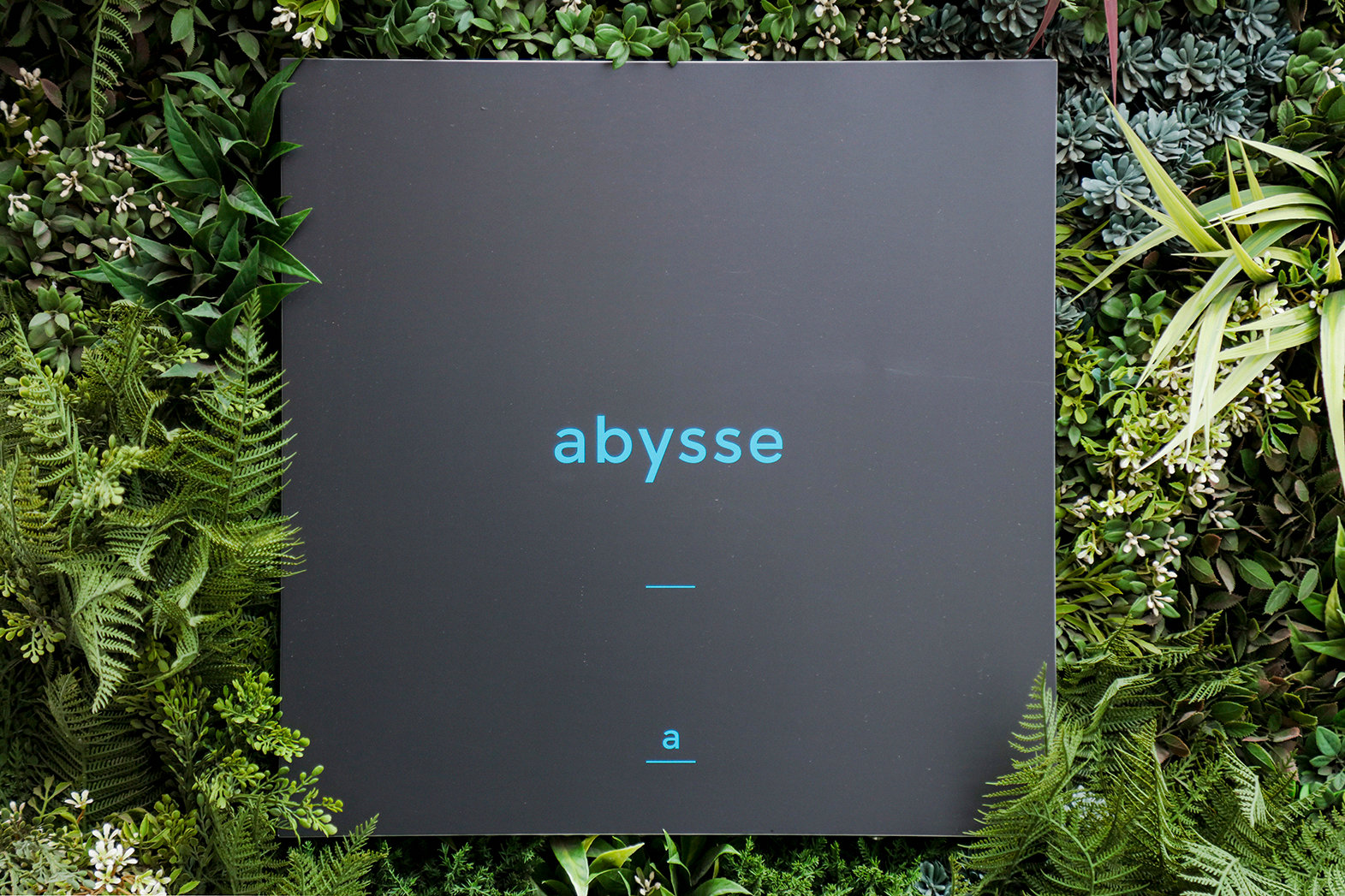 1372 abysse 3K9A4370