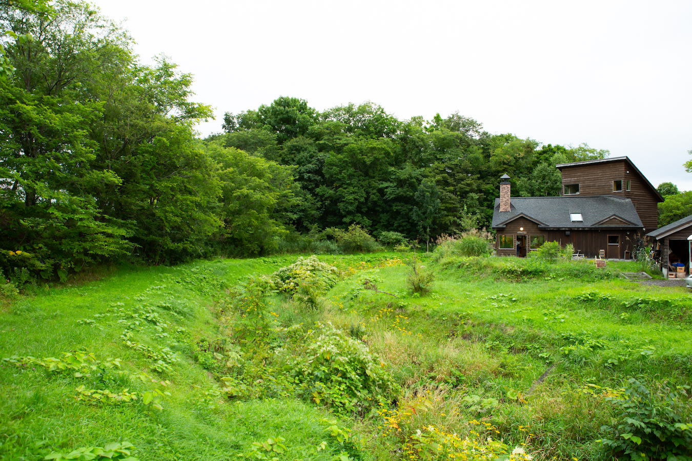 jp blog seedbagel 1404