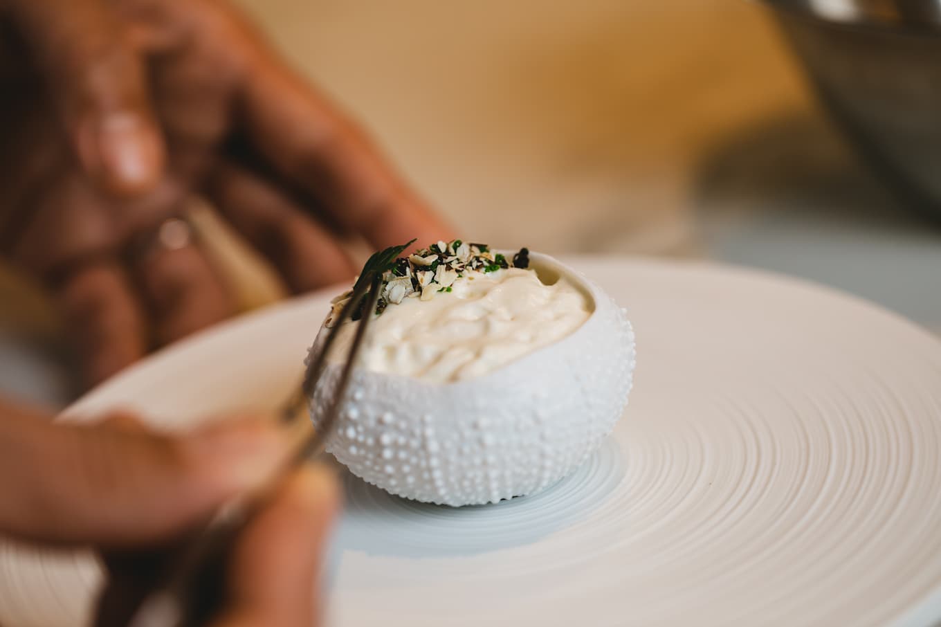 jp-blog-alchimiste06