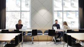 photo of three people working with windows behind them