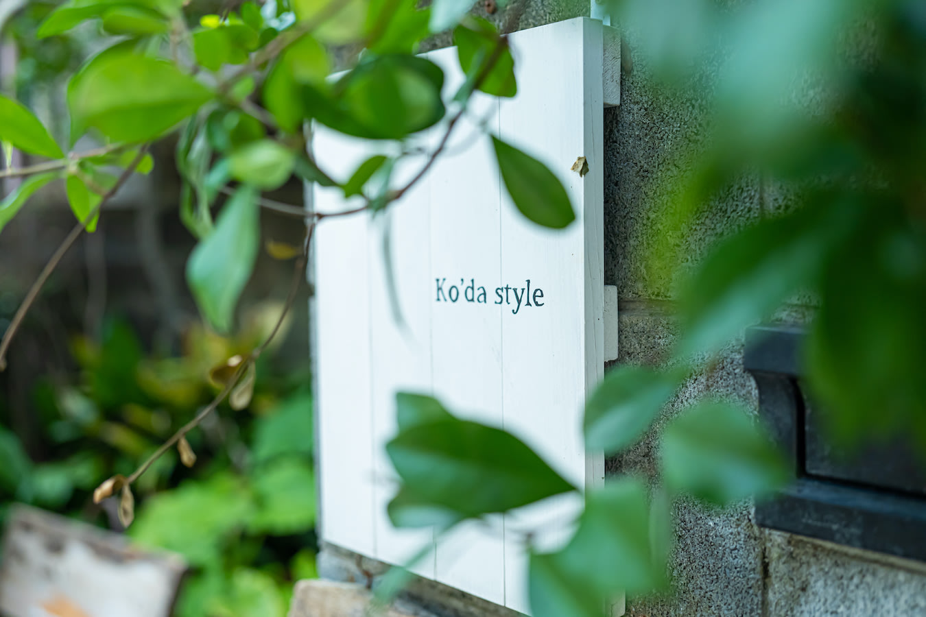 jp blog kodastyle DSF1196