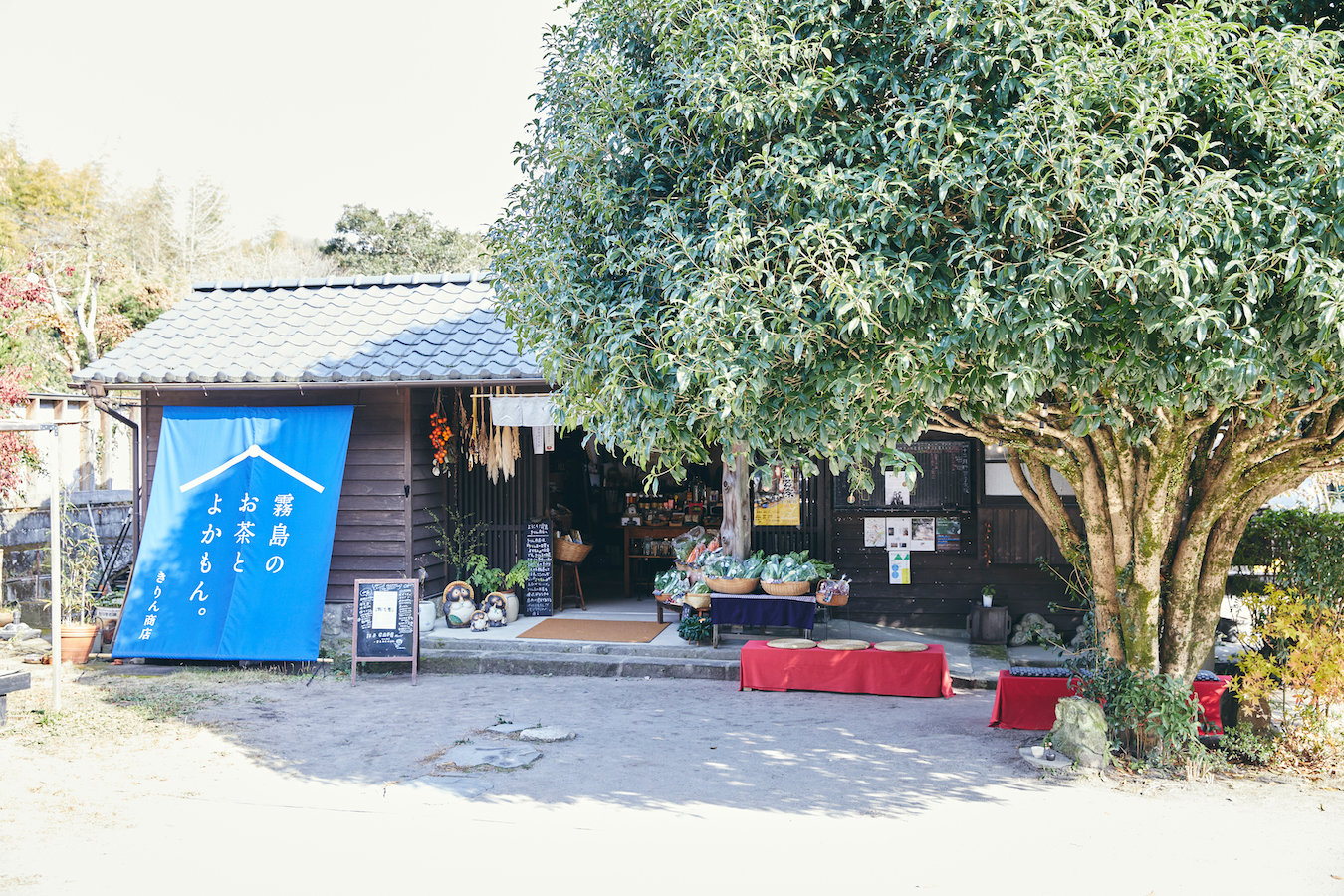 jp blog kirin 35A6703