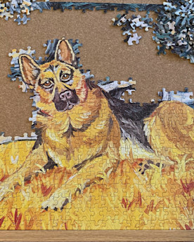 partially completed puzzle showing a German Shepherd dog
