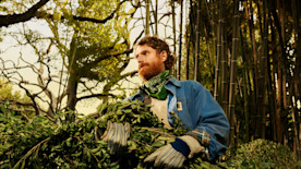 Guide to Irish Business Grants