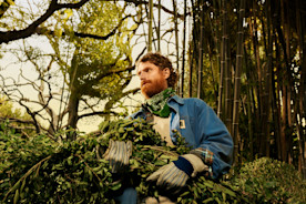 Guide to Irish Business Grants