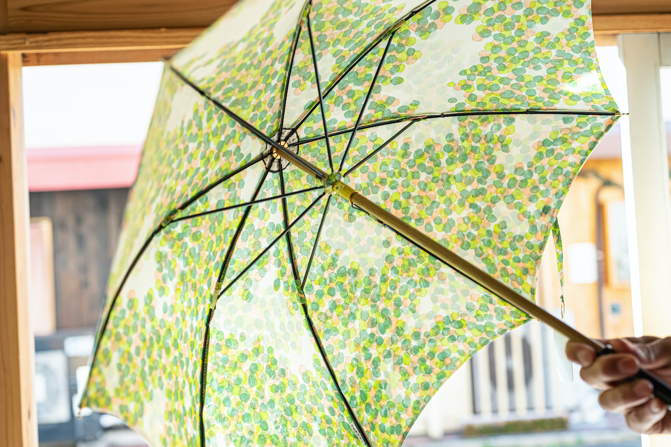 jp blog iida DSF1893