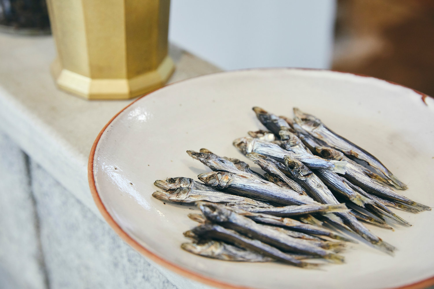 jp blog iwashi 35A7325