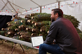 marketing strategy for businesses