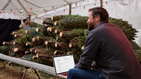 marketing strategy for businesses