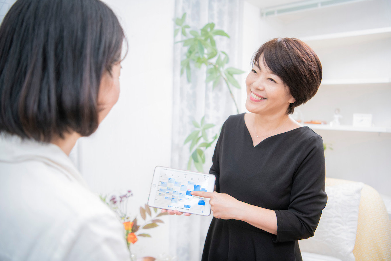 jp-blog-kampo NSP0314 01 TY