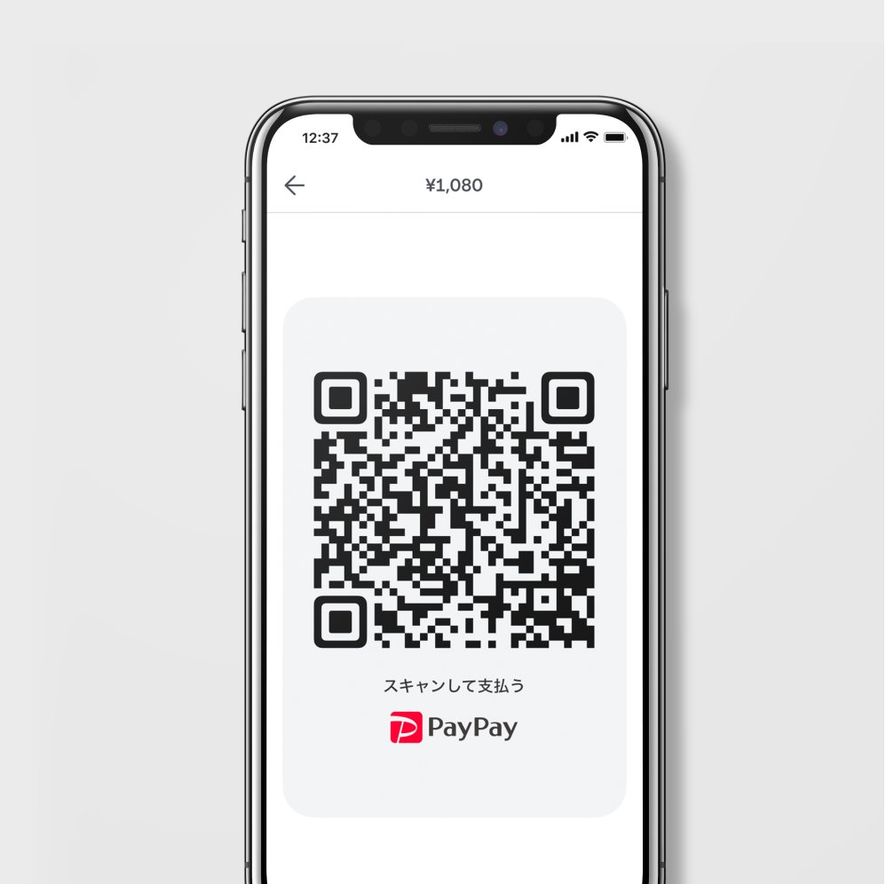 PD03772 - JP Paypay iPhoneX QR