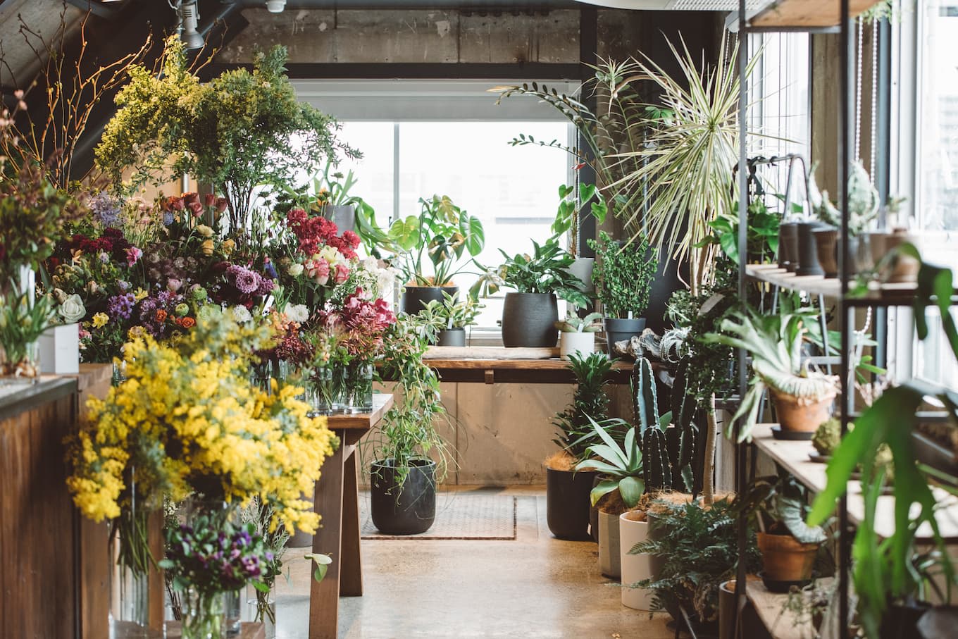 jp-blog-exflowershop07