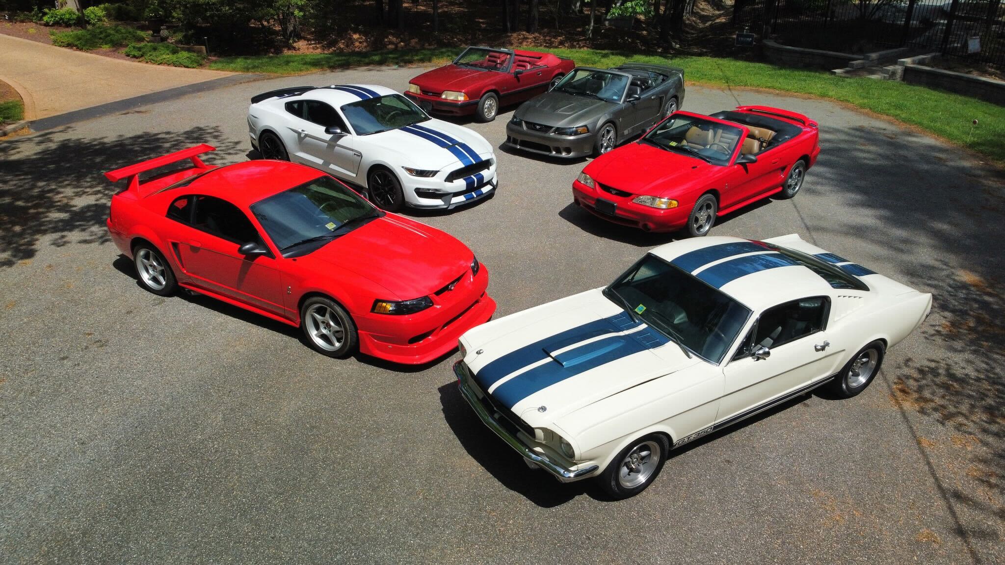 The Doc McAdam Collection header image