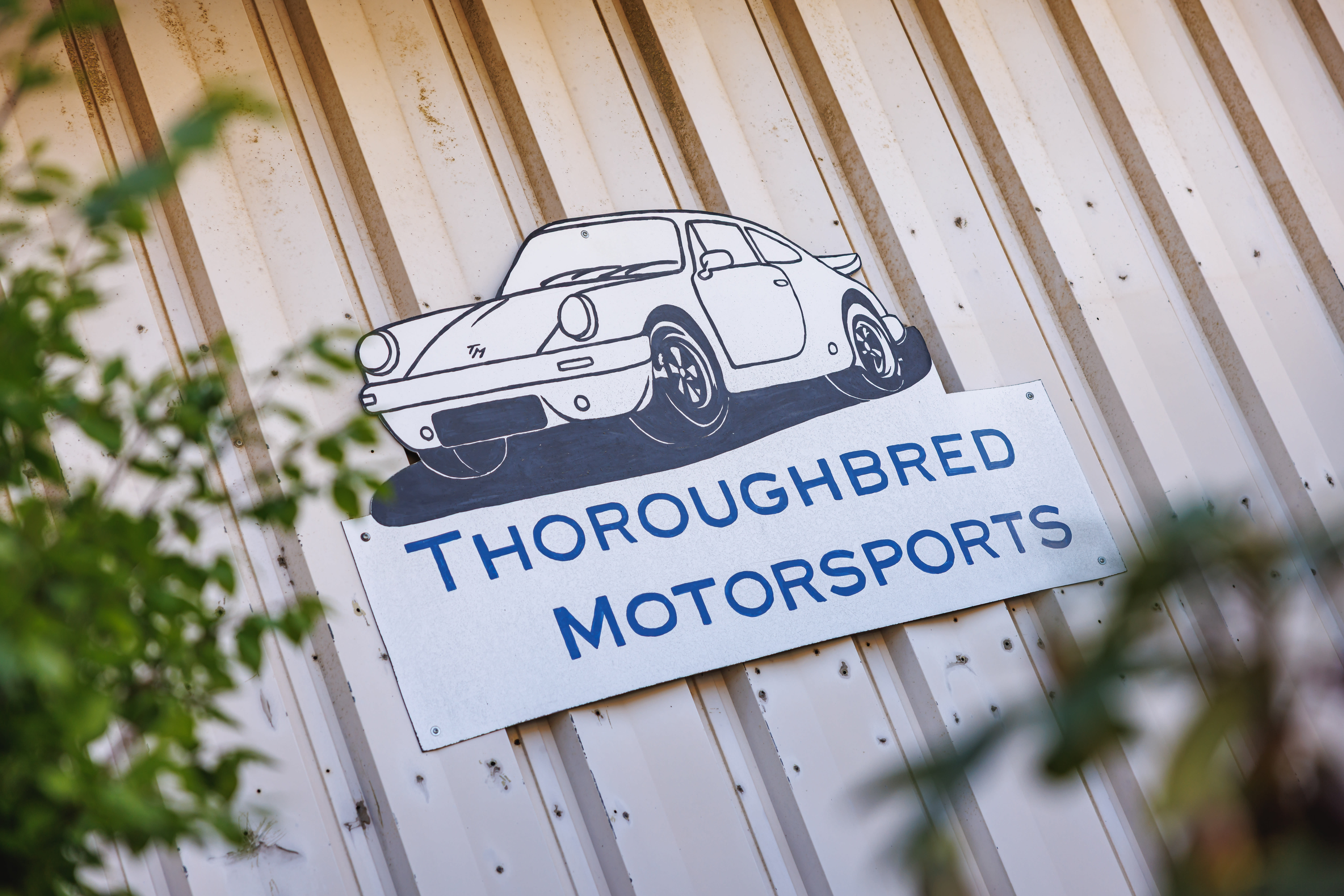 Thoroughbred Motorsports Collection header image