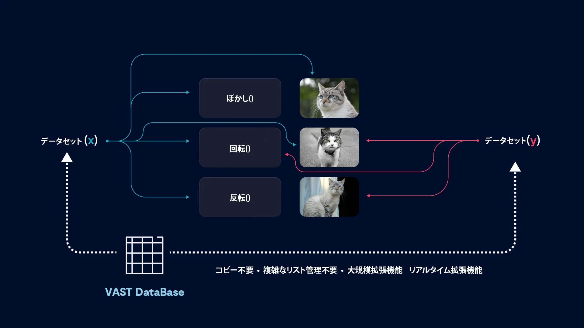 VAST DataSetのご紹介
