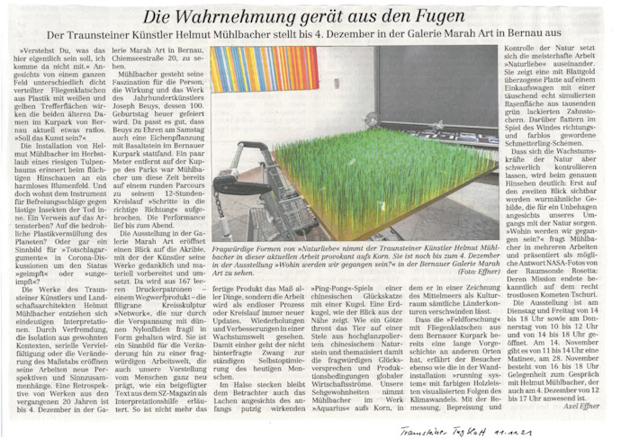 20211111 Presse Die-Wahrnehmung-gerät-aus-den-Fugen Traunsteiner-Tagblatt